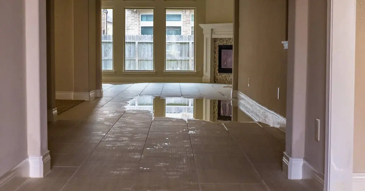 DIY Water Damage Repair