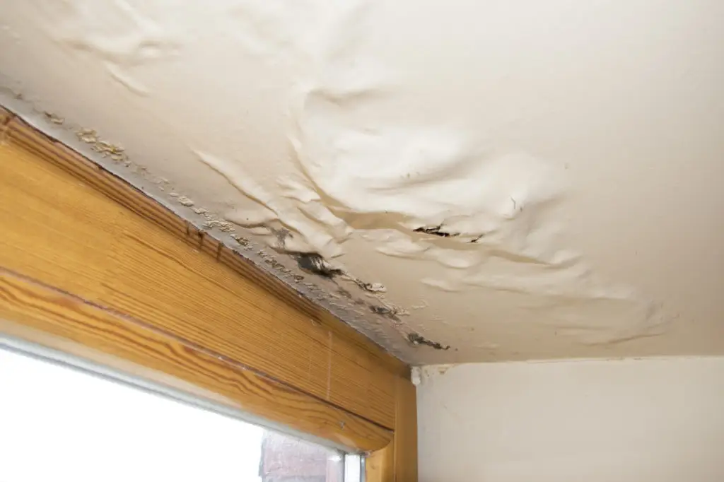 Water Damage Cleanup